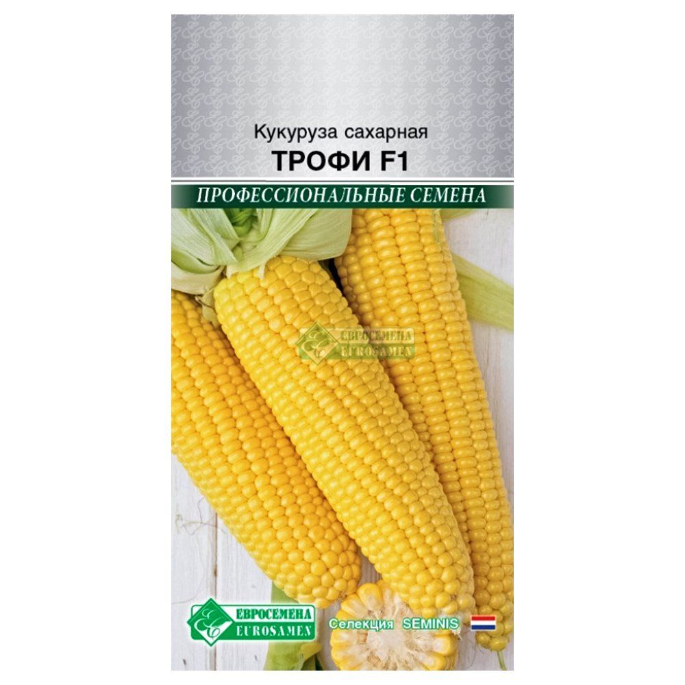 ������ ������ �������� ����� F1 ����������   ����