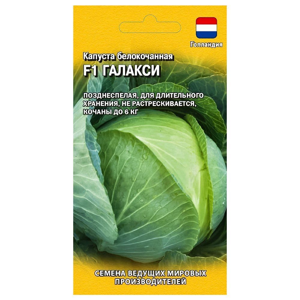 ������ ������ ������� ������������ ������� F1 ������   ����