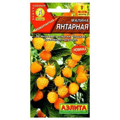 ������ ������ ������ �������� ������   ����