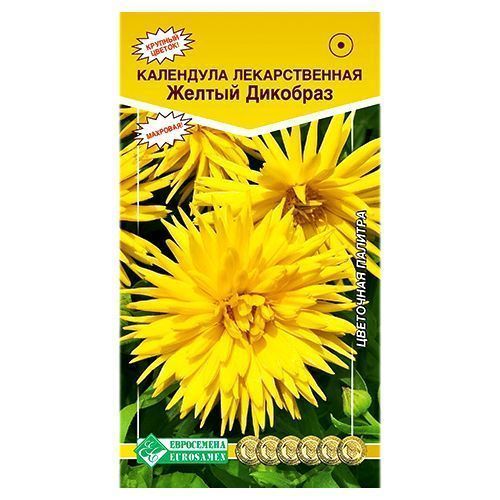 ������ ������ ��������� ������������� ������ �������� ����������   ����