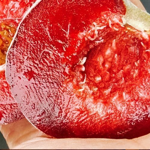 ������ ������ ������ ����������� ���� ���   ����