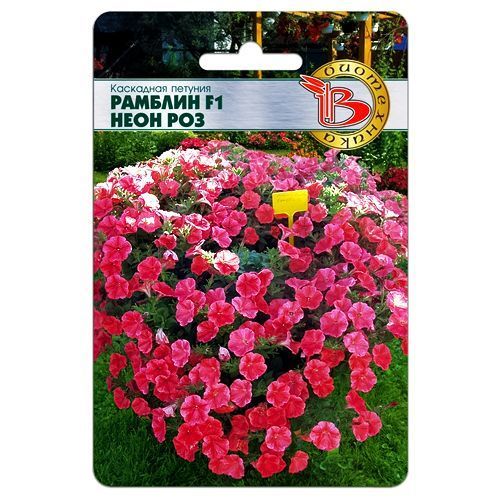 ������ ������ ������� ��������� ������� F1 ���� ��� ����������   ����