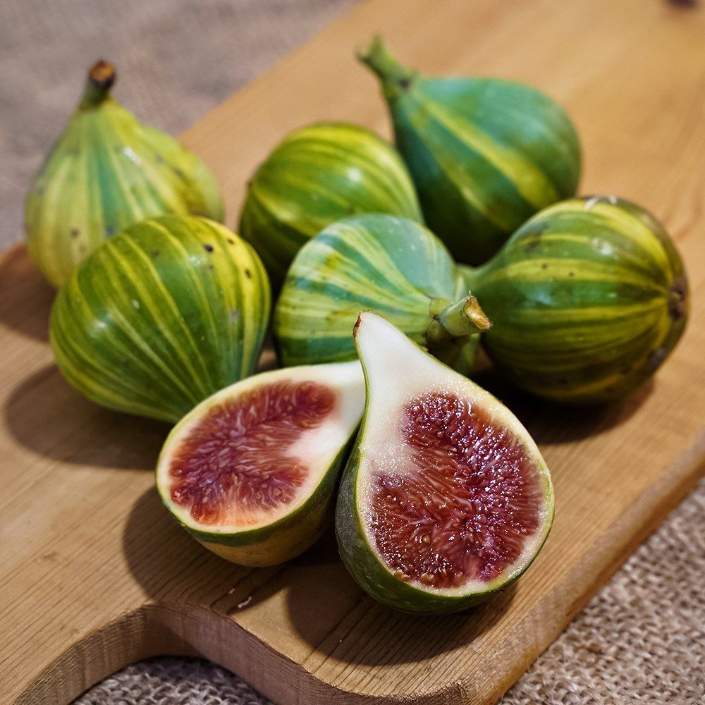 ������ ������ ����� ��������� �� ������ �������� ����   ����