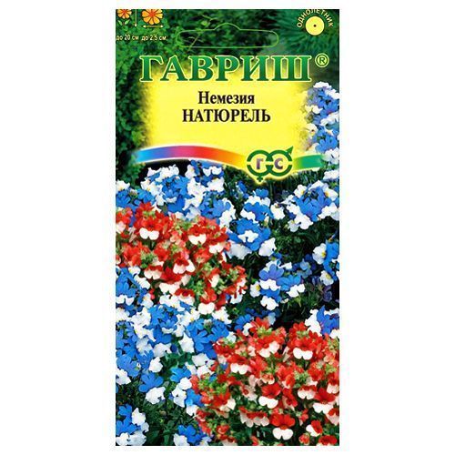 ������ ������ ������� ��������, ����� ������� ������   ����