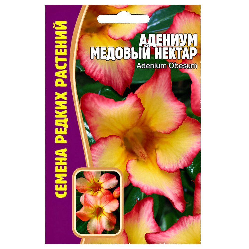 ������ ������ ������� ������� ������ ������ ������   ����