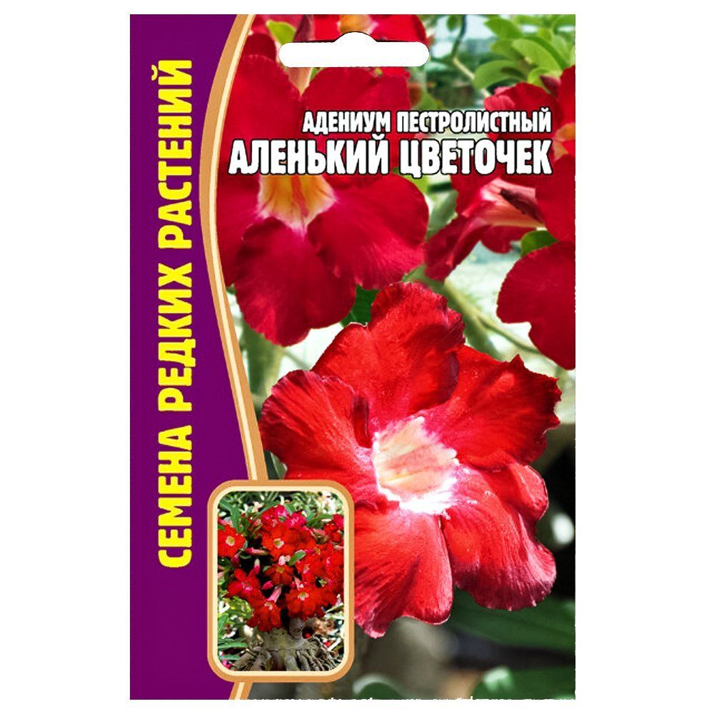 ������ ������ ������� �������� �������� ������ ������   ����