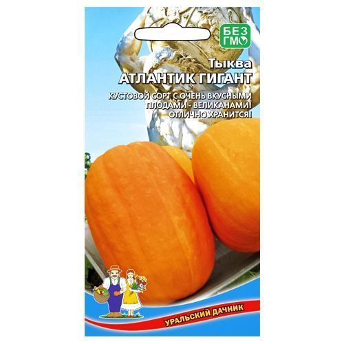 ������ ������ ����� �������� ������ ��������� ������   ����