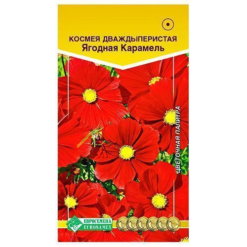 ������ ������ ������ ������� �������� ����������   ����