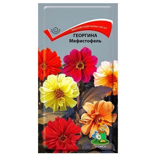 ������ ������ �������� �����������, ����� ������� �����   ����