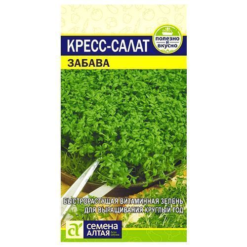 ������ ������ �����-����� ������ ������ �����   ����