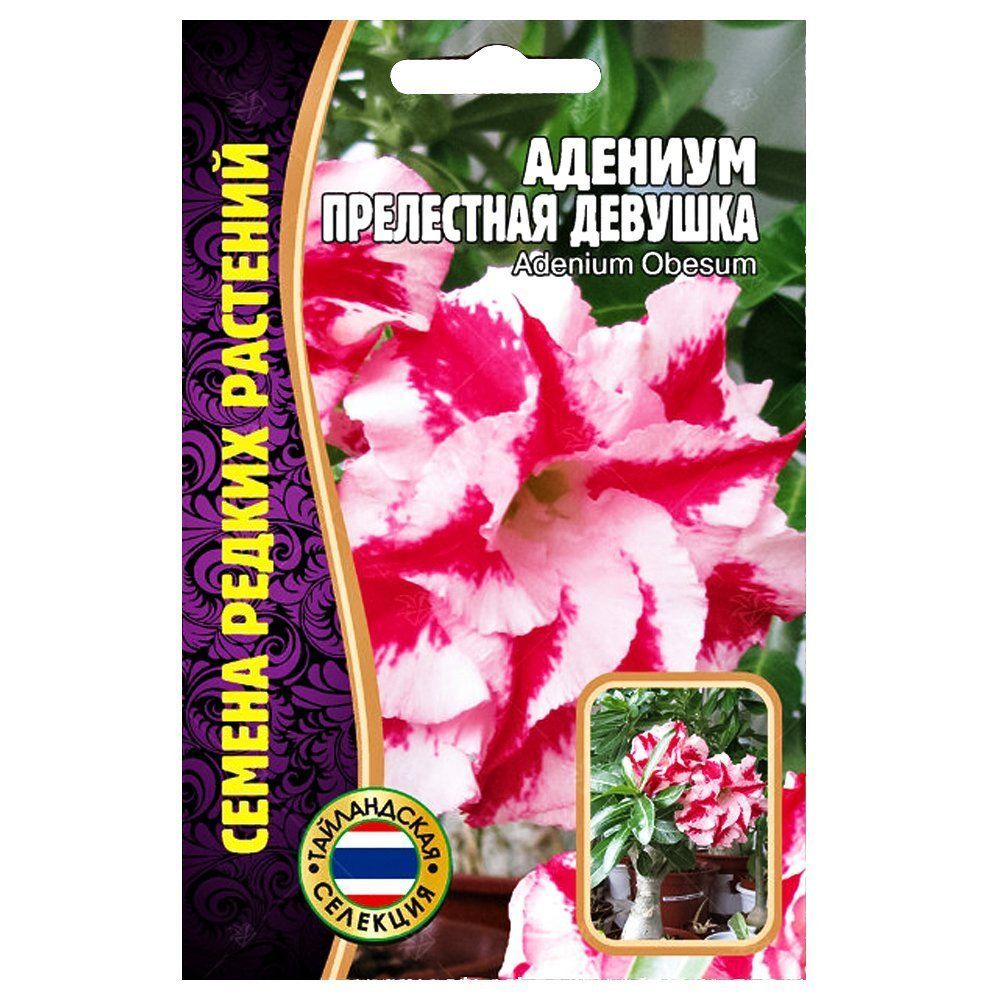 ������ ������ ������� ���������� ������� ������ ������   ����