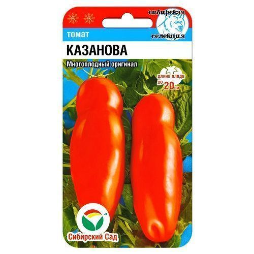 ������ ������ ����� �������� ��������� ���   ����