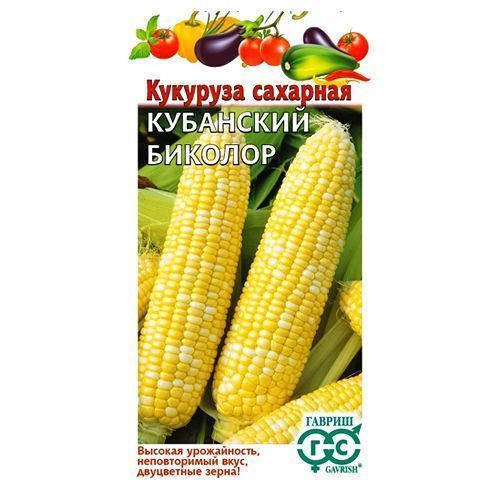 ������ ������ �������� ��������� ������� F1 ������   ����