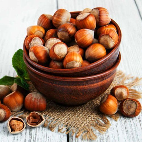 ������ ������ ������ ���������   ����