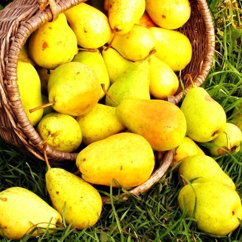 ������ ������ ����� ������   ����