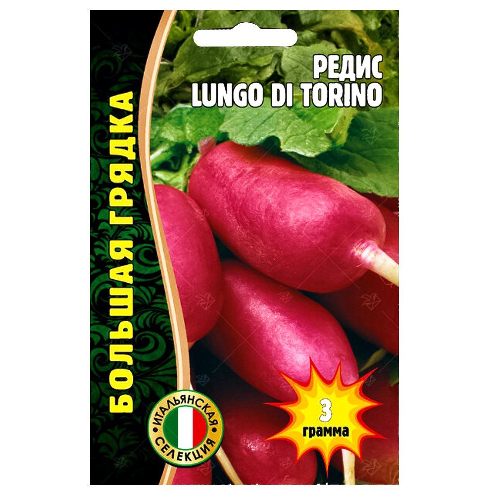 ������ ������ ����� Lungo Di Torino ������ ������   ����