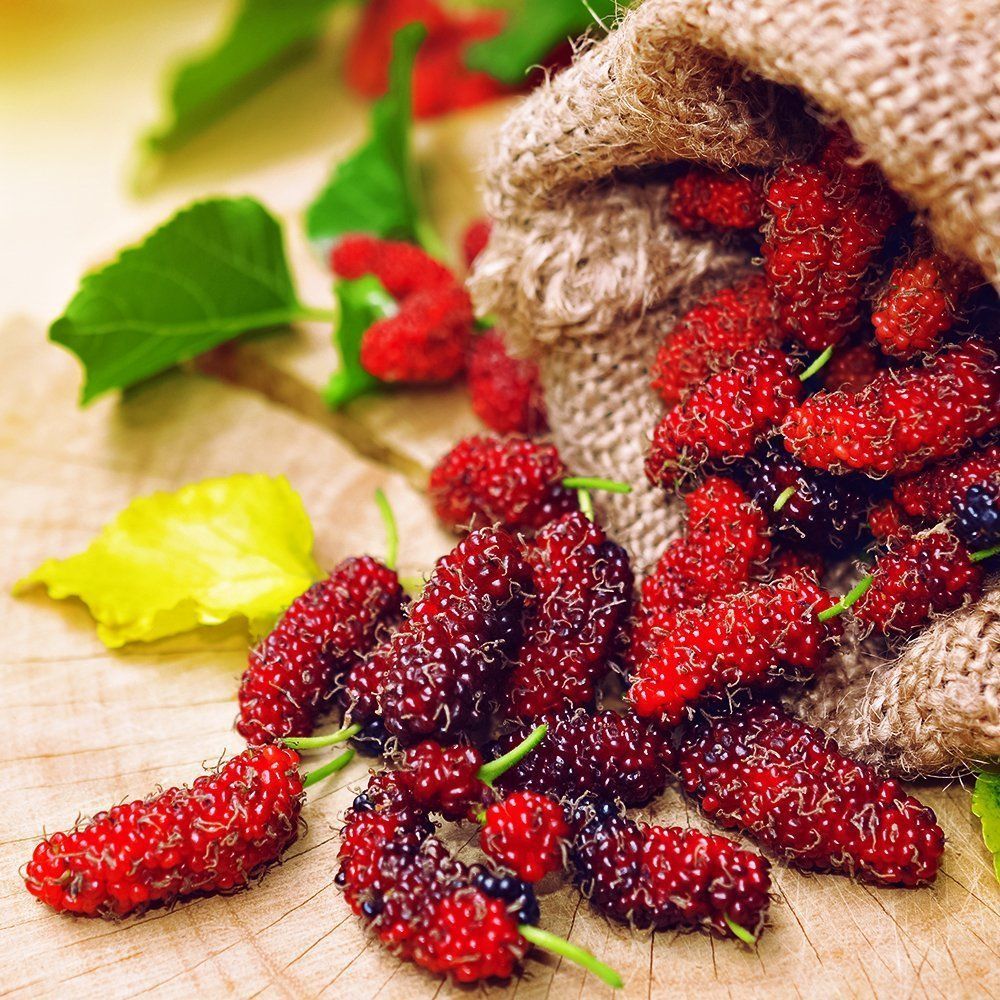 ������ ������ ��������� ��� ������� ������ ���������� �������   ����