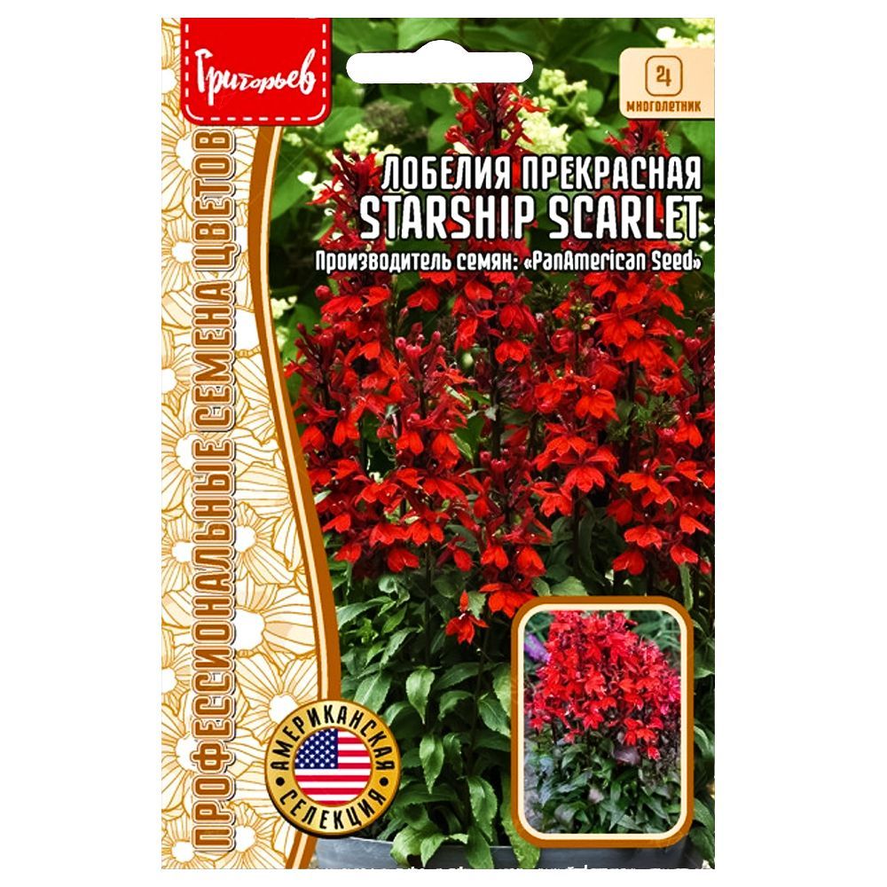 ������ ������ ������� ���������� Starship Scarlet ������ ������   ����