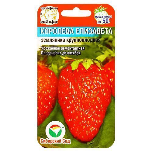 ������ ������ ��������� ������������� �������� ���������, ������ ��������� ���   ����