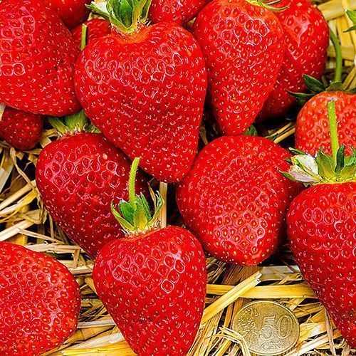 ������ ������ ��������� ������������� �����   ����