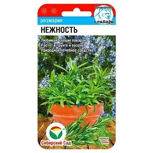 ������ ������ �������� �������� ��������� ���   ����