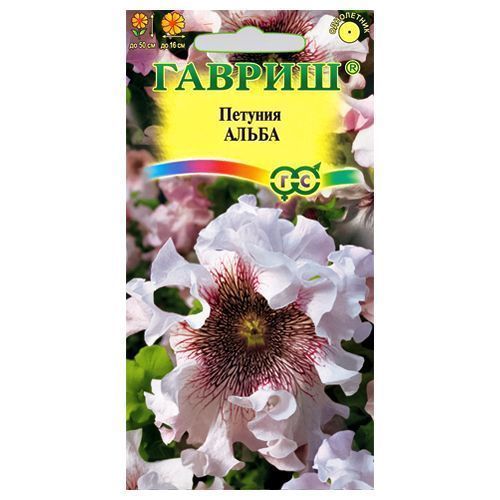 ������ ������ ������� ����������� ����� ������   ����