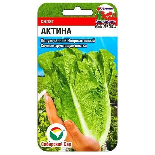 ������ ������ ����� ������ ��������� ���   ����