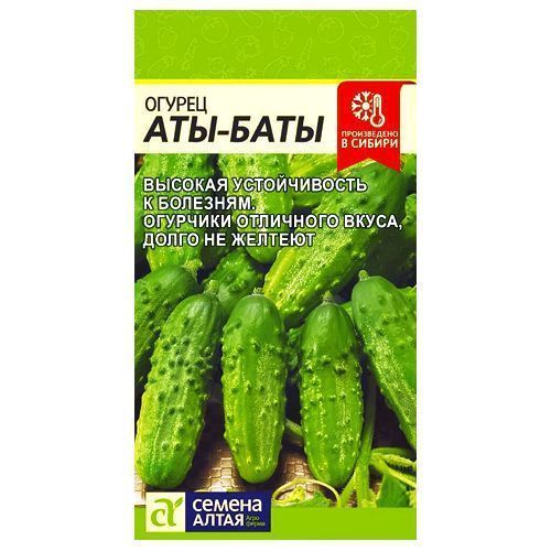 ������ ������ ������ ���-���� ������ �����   ����