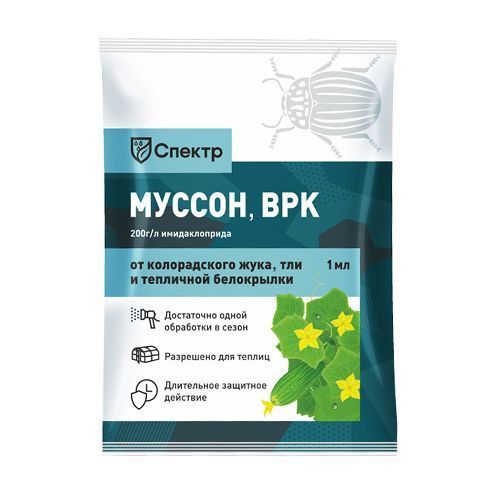 ������ ������ ������ - ������ ���, �� ��������� ���������� 1 ��   ����