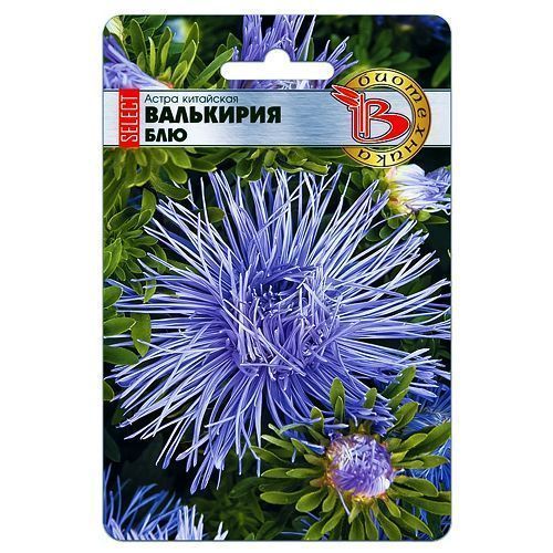 ������ ������ ����� ��������� ��������� ������ ��� ����������   ����