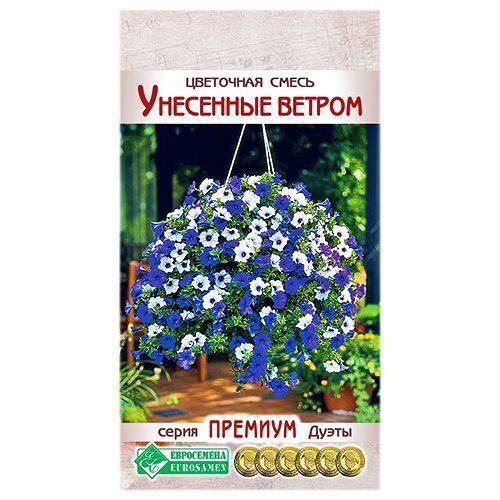 ������ ������ ��������� ����� ��������� ������, ����� ������� ����������   ����