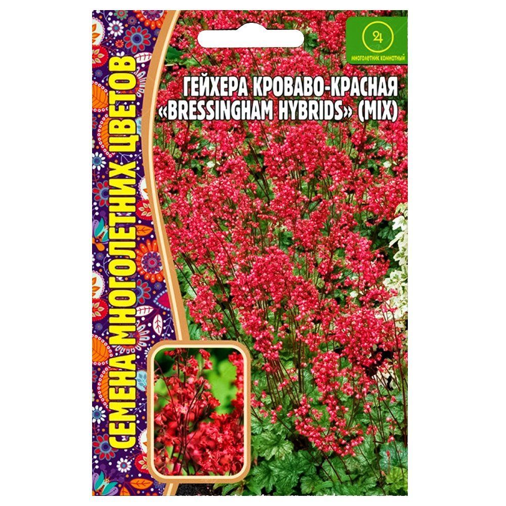 ������ ������ ������� �������-������� Bressingham Hybrids ������ ������   ����