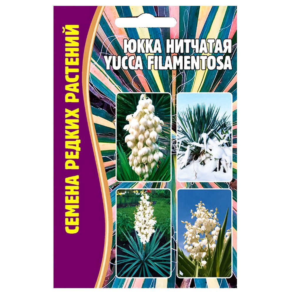 ������ ������ ���� �������� ������ ������   ����