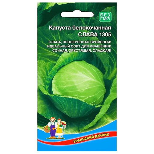 ������ ������ ������� ������������ ����� 1305 ��������� ������   ����