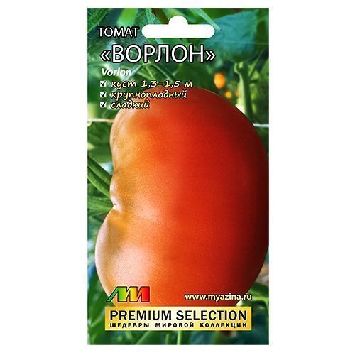 ������ ������ ����� ������ ����������� ������ �.�.   ����