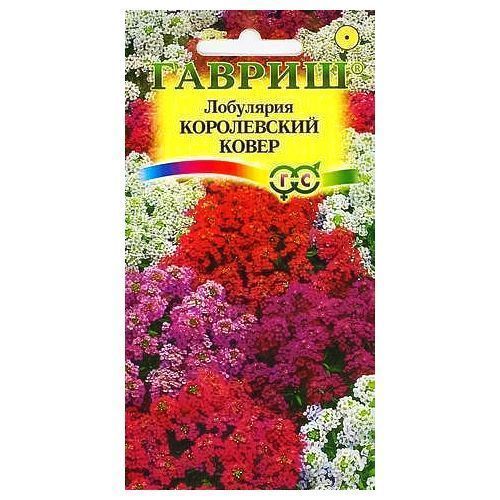 ������ ������ ��������� ����������� �����, ����� ������� ������   ����