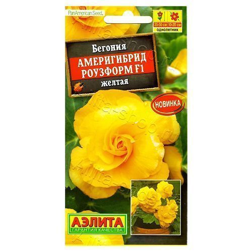 ������ ������ ������� ����������� �������� ������ F1 ������   ����