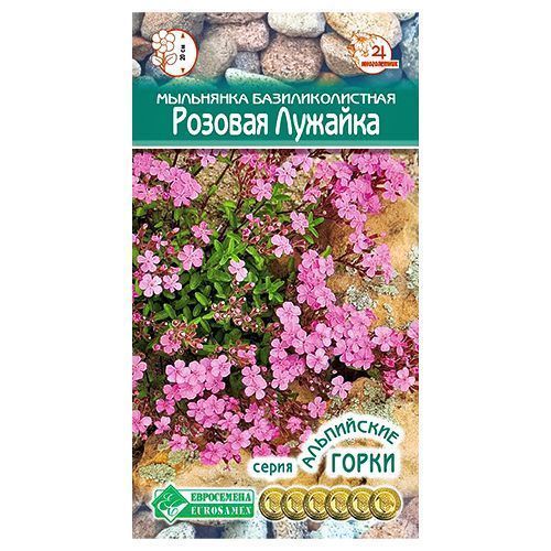 ������ ������ ��������� ������� ������� ����������   ����