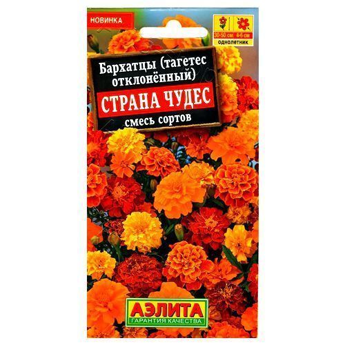 ������ ������ �������� ����������� ������ �����, ����� ������� ������   ����