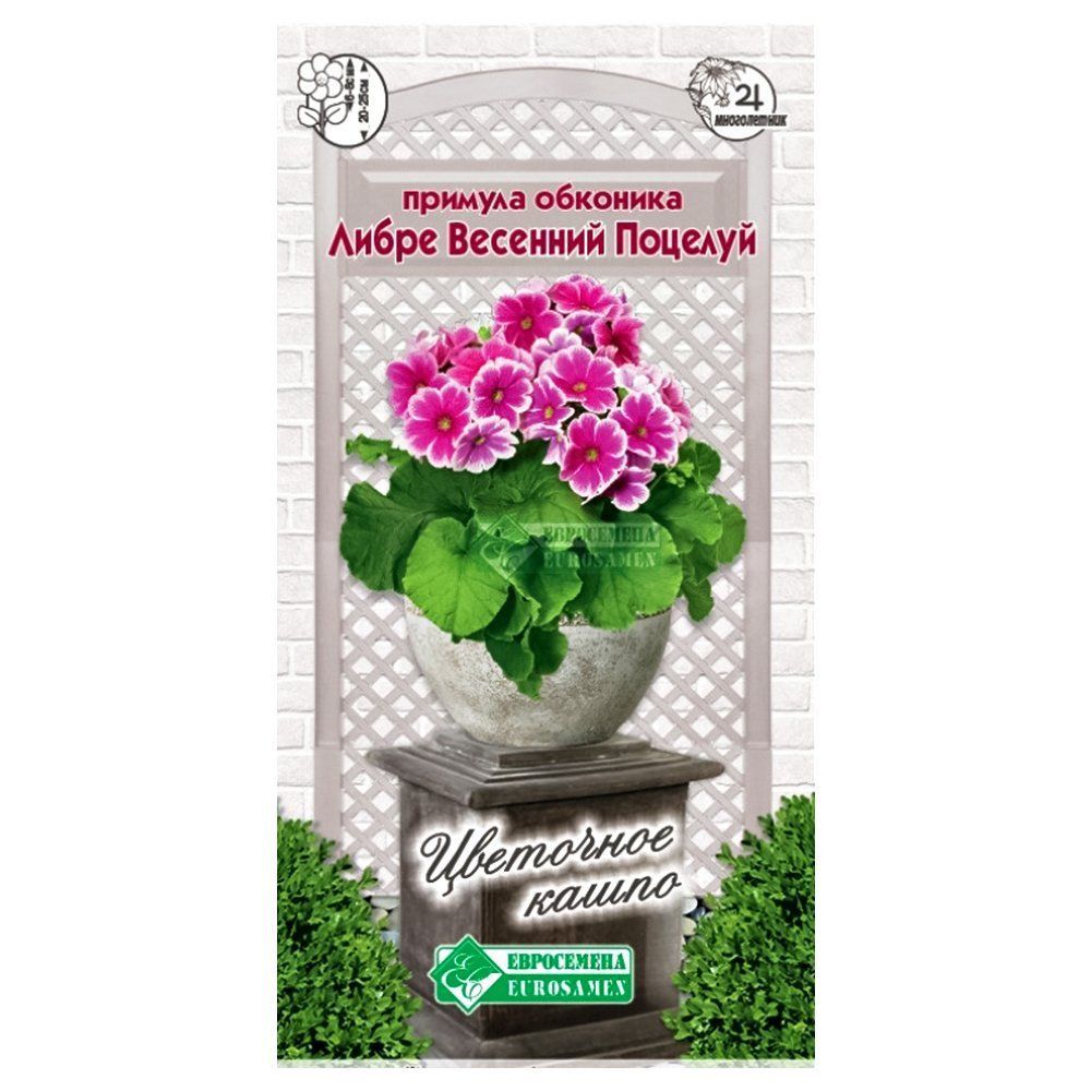 ������ ������ ������� �������� ����� �������� ������� ����������   ����