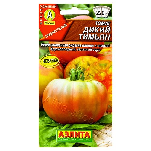 ������ ������ ����� ����� ������ ������   ����