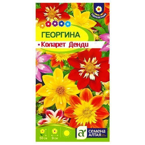 ������ ������ �������� ������� �����, ����� ������� ������ �����   ����