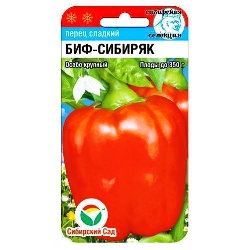 ������ ������ ����� ������� ���-������� ��������� ���   ����