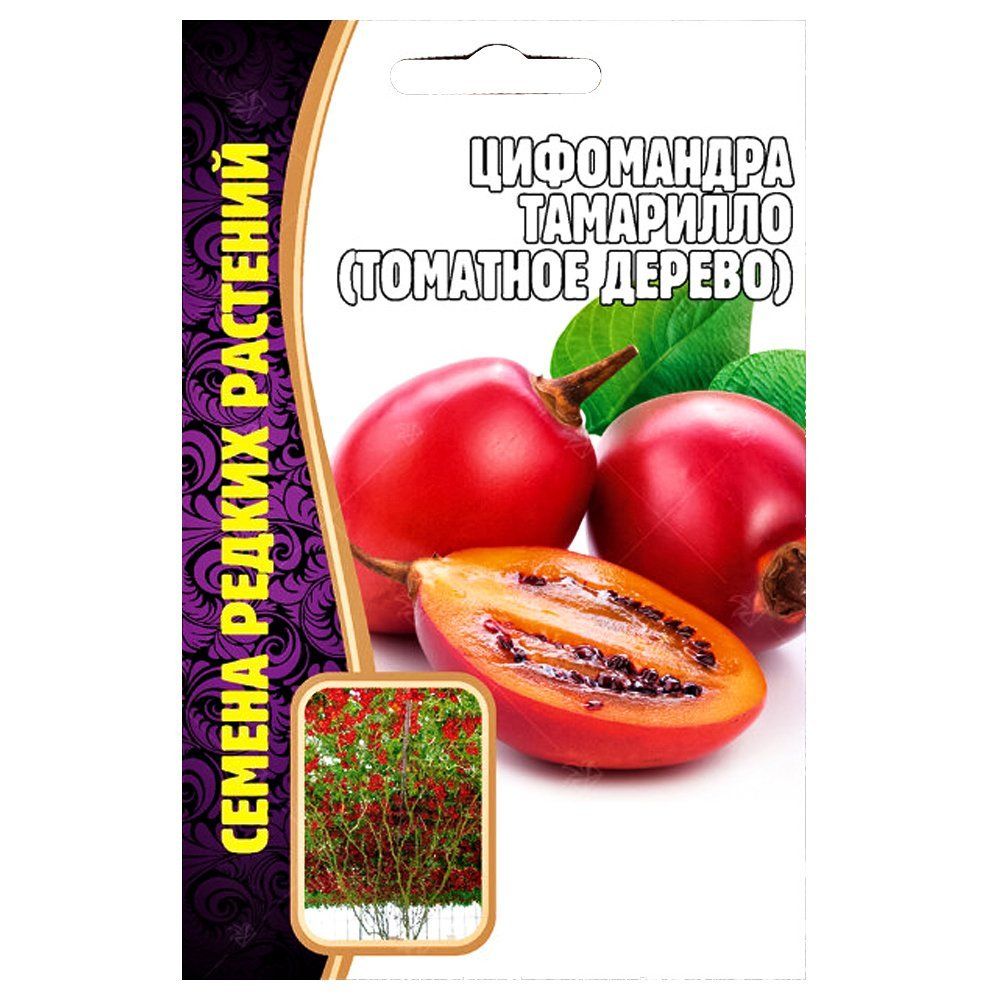 ������ ������ ���������� ��������� (�������� ������) ������ ������   ����