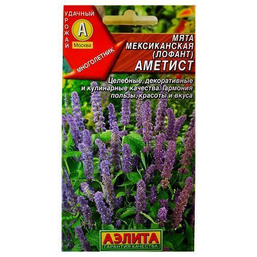 ������ ������ ���� ������������ ������� ������   ����