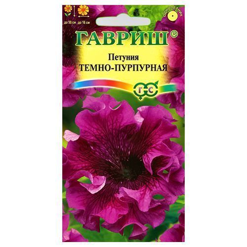 ������ ������ ������� ����������� �����-��������� ������   ����