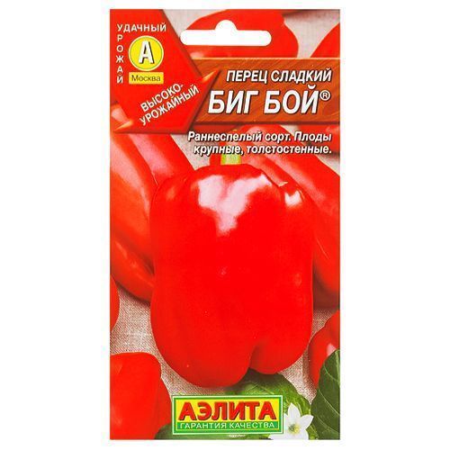 ������ ������ ����� ������� ��� ��� ������   ����