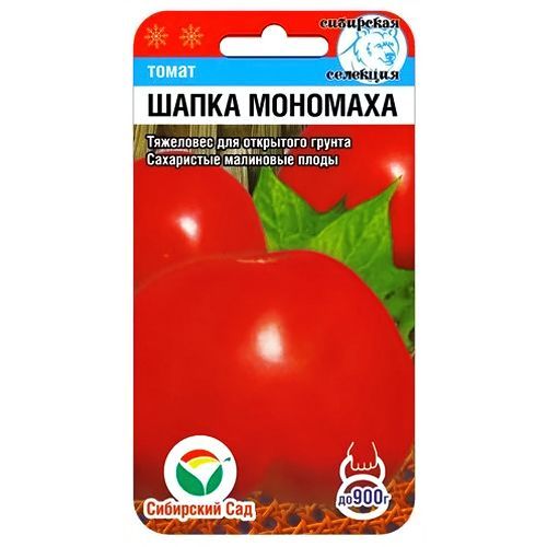 ������ ������ ����� ����� �������� ��������� ���   ����