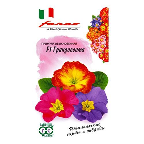 ������ ������ ������� ����������� F1, ����� ������� ������   ����