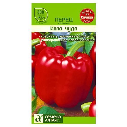 ������ ������ ����� ������� ���� ���� ������ �����   ����